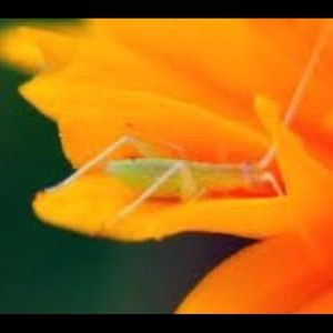 Meet your Posher, Jody